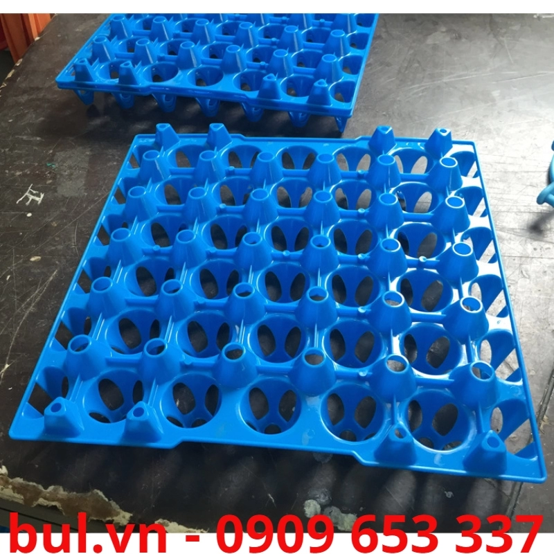 tao khuon duc nhua4 1 8703 - Nhận gia công khuôn vỉ đựng trứng bằng nhựa giá rẻ số #1